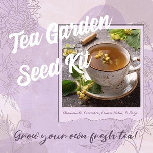Tea Making Seed Kit for Gardening